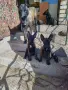 Продавам белгийска овчарка малиноа, снимка 5