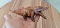 статуетка / дърворезба, снимка 5