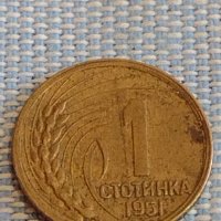 Две монети 1 стотинка 1951г. България перфектно състояние за КОЛЕКЦИОНЕРИ 39636, снимка 6 - Нумизматика и бонистика - 44431789