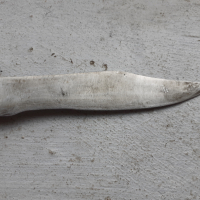 Стар български нож острие, снимка 2 - Антикварни и старинни предмети - 36116484