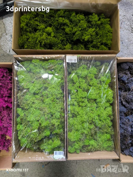 Скандинавски мъх-1,5кг, снимка 1