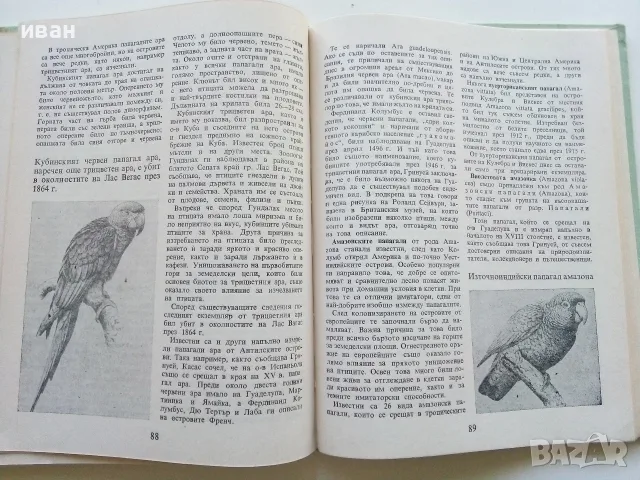 По следите на изчезналите животни - Николай Йовчев - 1982г., снимка 6 - Наука, техника и компютри - 56207814