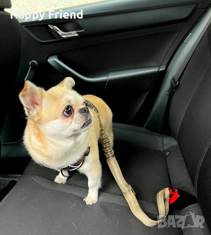 Безопасност за кучето ти в кола – здрав предпазен колан *НОВ*, снимка 2 - За кучета - 53697919