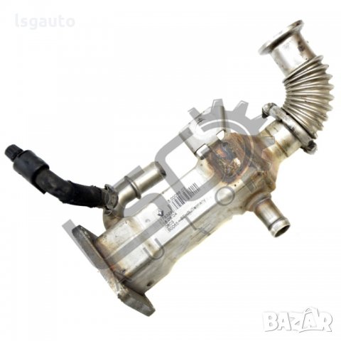 Охладител EGR Renault GRAND SCENIC II 2004-2009 RM170821N-69