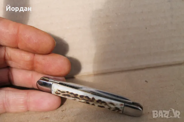 Българска наградна ножка 1984-та година, снимка 4 - Антикварни и старинни предмети - 47451787