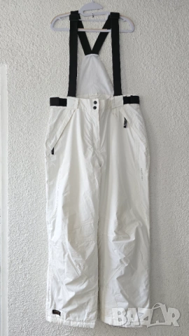 Мъжки ски панталон Alpine размер Л