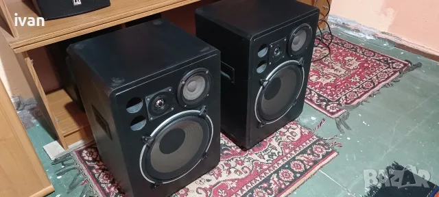 Тонколони 12 инча Braun, снимка 6 - Тонколони - 56335950