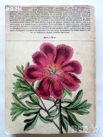 Разпознаване и събиране на билки - Борис Китанов - 1987г., снимка 7 - Енциклопедии, справочници - 53286255