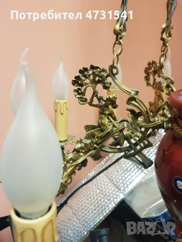 Полилей, снимка 8 - Полилеи - 53398820