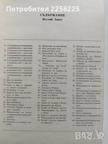 Илюстрирана Библия, снимка 7 - Специализирана литература - 53582049