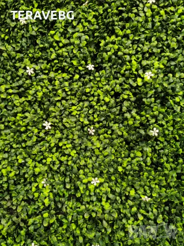 Изкуствено озеленяване по проект , снимка 14 - Изкуствени цветя - 48672436