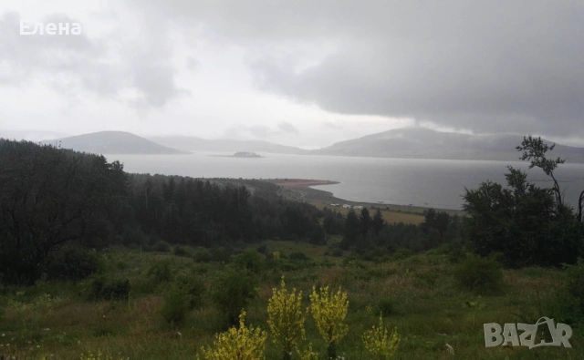 Ливада Цигов чарк гр. Батак, снимка 2 - Земеделска земя - 53331617