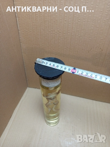 Стара Образователна Препарирана Жаба. , снимка 5 - Антикварни и старинни предмети - 52930718