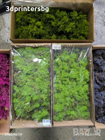 Скандинавски мъх-1,5кг, снимка 1