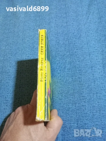 Айсел Йозакън - Сини птици , снимка 2 - Художествена литература - 53863133