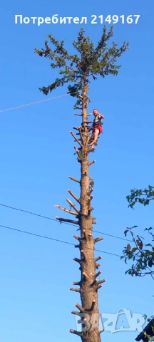 Рязане почистване извозване , снимка 9 - Други услуги - 53743500