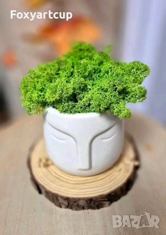 Кашпа със скандинавски мъх 