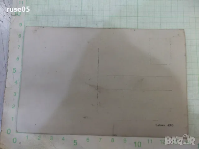 Снимка стара на две жени в носии пред каруца, снимка 2 - Колекции - 47906137
