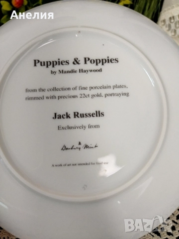 Чинии за стена Джак Ръсел -колекция, снимка 6 - Декорация за дома - 52345720