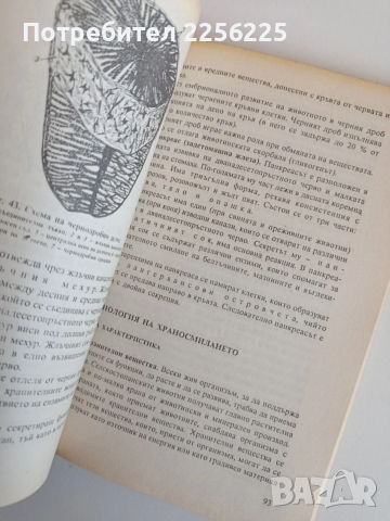 Анатомия и физиология на селскостопанските животни, снимка 3 - Специализирана литература - 53862663