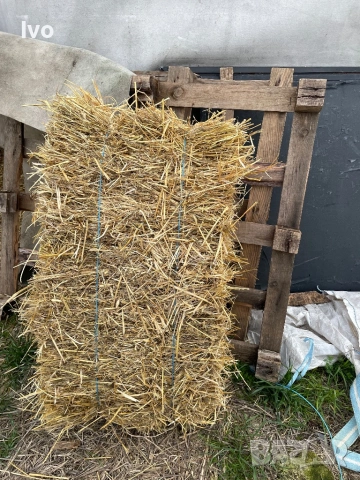Слама малки и ролонни бали, снимка 6 - За селскостопански - 53711648