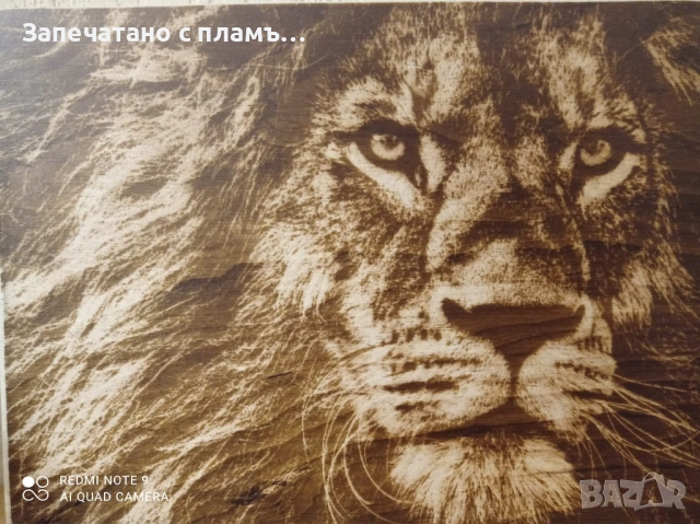 Портрети по снимка, снимка 3 - Картини - 53077240