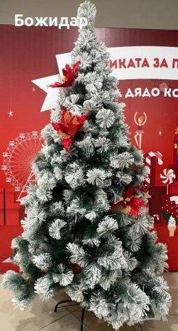 Снежни коледни елхи