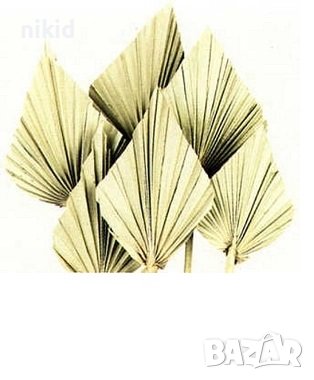 Златисти Натурални Палмови листа ветрило Оригами Екзотични Тропически сухи цветя, снимка 2 - Изкуствени цветя - 41519754