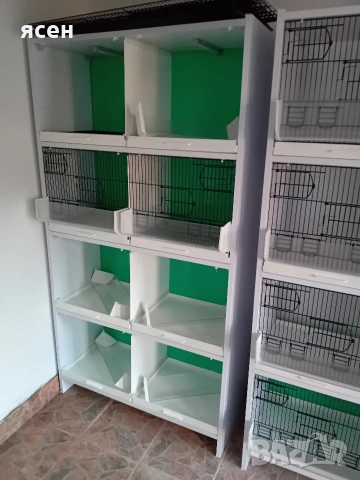 Продавам клетки , снимка 2 - Амадини - 53659363