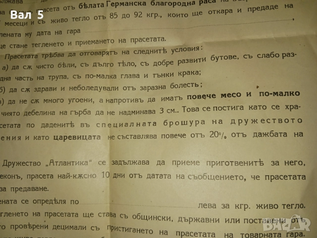 Договор за изкупуване на прасета 193... година . Интересен, снимка 7 - Антикварни и старинни предмети - 52306973