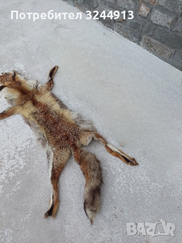 Лисича кожа , снимка 2 - Други стоки за дома - 52309285
