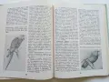 По следите на изчезналите животни - Николай Йовчев - 1982г., снимка 6