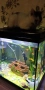 аквариум 60л, снимка 2