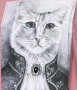 Нова розова блуза/ тениска с котка, коте, L, XL, XXL, голям размер, снимка 1