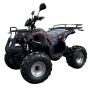 Електрическо ATV - Grizzly 2500W (Черен) 2026, снимка 3
