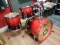 Pearl Vision Birch, снимка 2