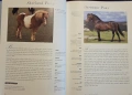 Hamlyn All Colour Guide to Horses, снимка 3