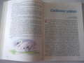 Книга "Приказки - Ханс Кристиан Андерсен" - 96 стр., снимка 10
