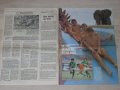Оригинални стари списания Франс Футбол / France Football / от 1977 и 1980 г., снимка 10