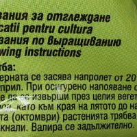 Семена Люцерна от лицензиран производител , снимка 3 - Сортови семена и луковици - 40112103