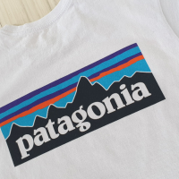 Patagonia Cotton Made in Maxico Regular Mens Size M НОВО! ОРИГИНАЛ! Мъжка Памучна Тениска!, снимка 1 - Тениски - 44744119