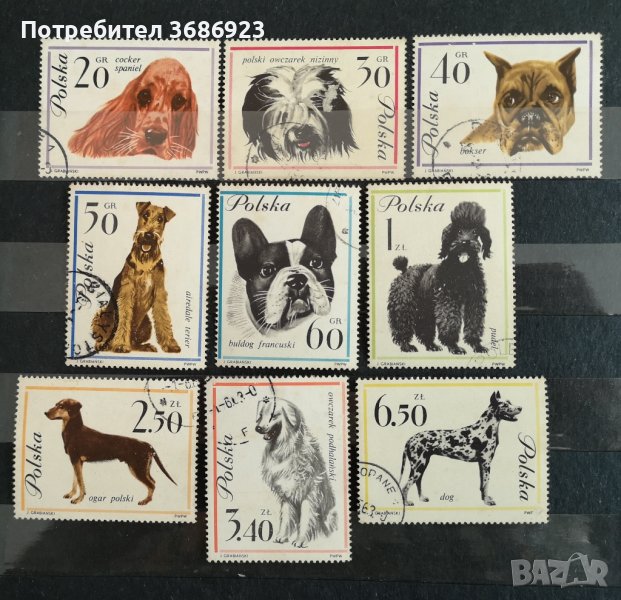 Кучета от Полша 1963 с печат., снимка 1