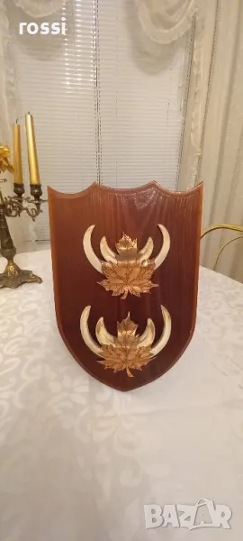 Двоен немски трофей диво прасе, резбована поставка, документ, снимка 1