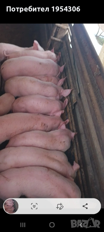 Свободни, снимка 1