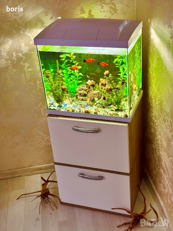 Аквариум 60 литра + шкафчето и рибките, снимка 1