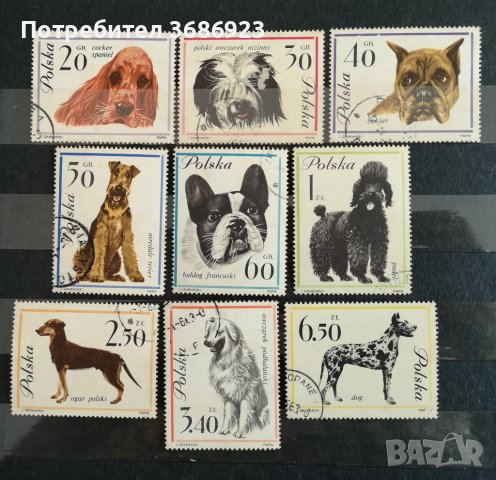Кучета от Полша 1963 с печат., снимка 1 - Филателия - 41852736