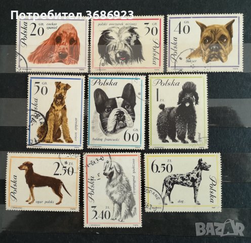 Кучета от Полша 1963 с печат.