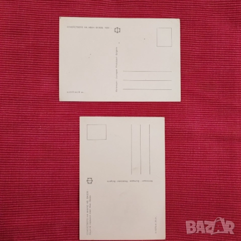 Две стари картички, снимки на Вазовото семейство. , снимка 2 - Колекции - 52456232