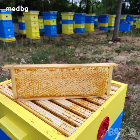 Пчелна рамка с мед / ЛУКС / Див градеж / 100% НАТУРАЛНО, снимка 3 - Пчелни продукти - 41929437