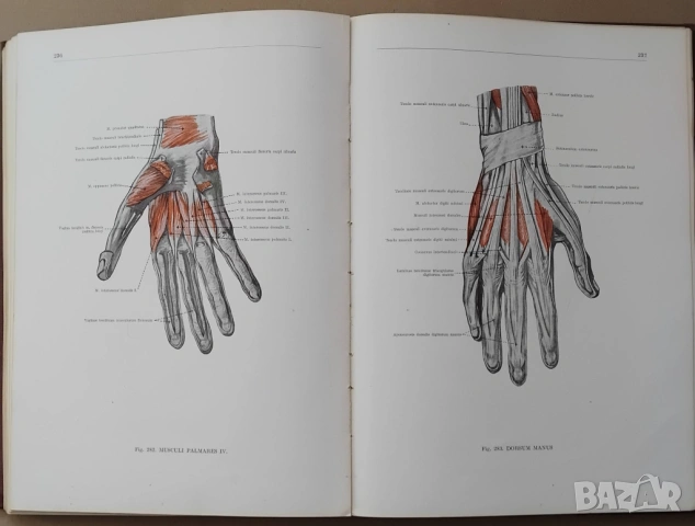 "Анатомичен атлас на човешкото тяло" в три тома, снимка 5 - Енциклопедии, справочници - 53657241
